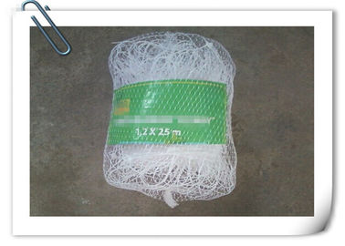 Chiny Plastikowa sieć wsparcia Wsparcia netto Zielona biała sieć wsparcia ogórek fabryka
